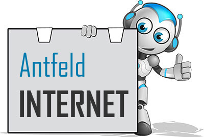 Internet in Antfeld