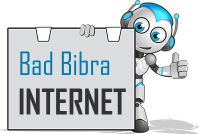 Internet in Bad Bibra