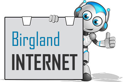 Internet in Birgland
