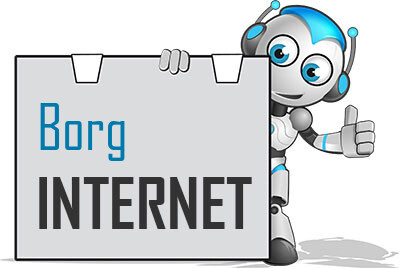 Internet in Borg