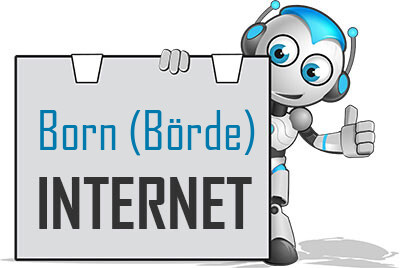 Internet in Born (Börde)