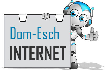 Internet in Dom-Esch