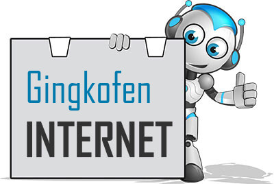 Internet in Gingkofen