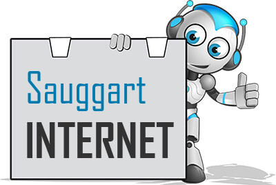 Internet in Sauggart