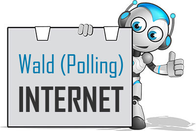 Internet in Wald (Polling)